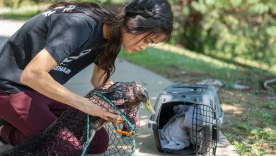 Changing Lives With an Exotic Animal Rescue in Omaha, NE