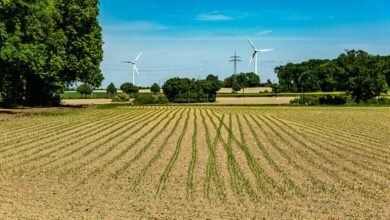 transforming industry landscapes rapidly