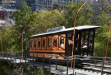 elevate marketing online platform