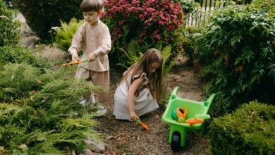 enhance growth with digital tools